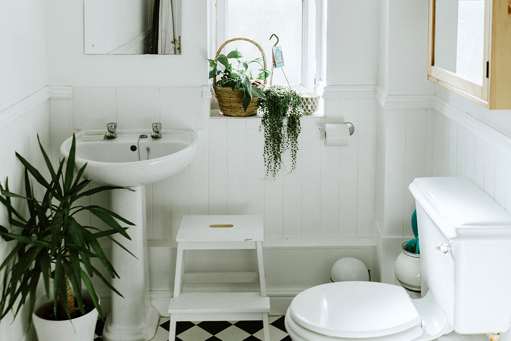 How-to-Install-a-Toilet-at-Home