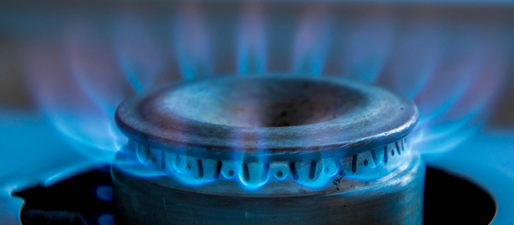 shutterstock_1173789547